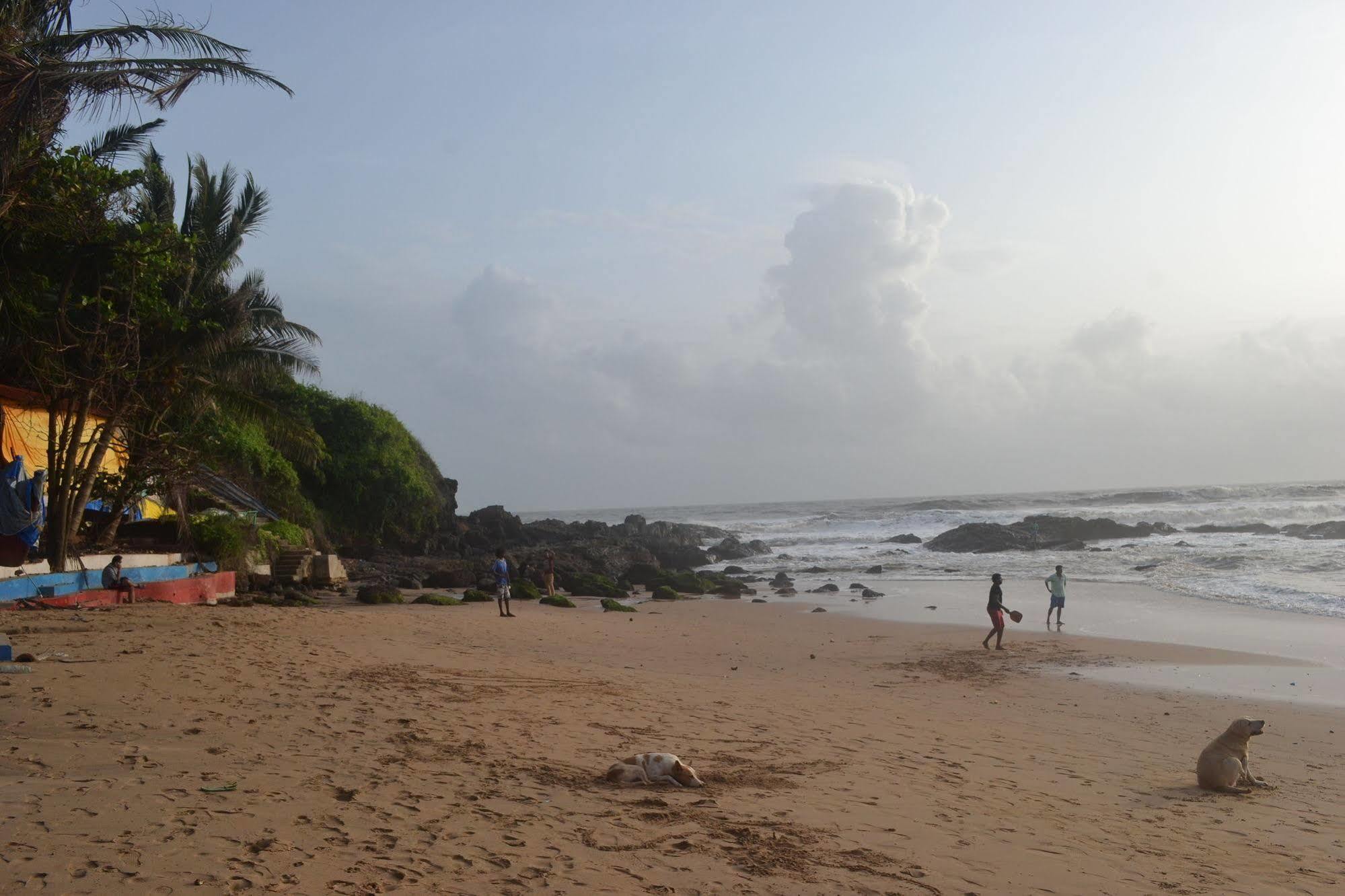 Curlies Zulu Land Hostel Anjuna Luaran gambar