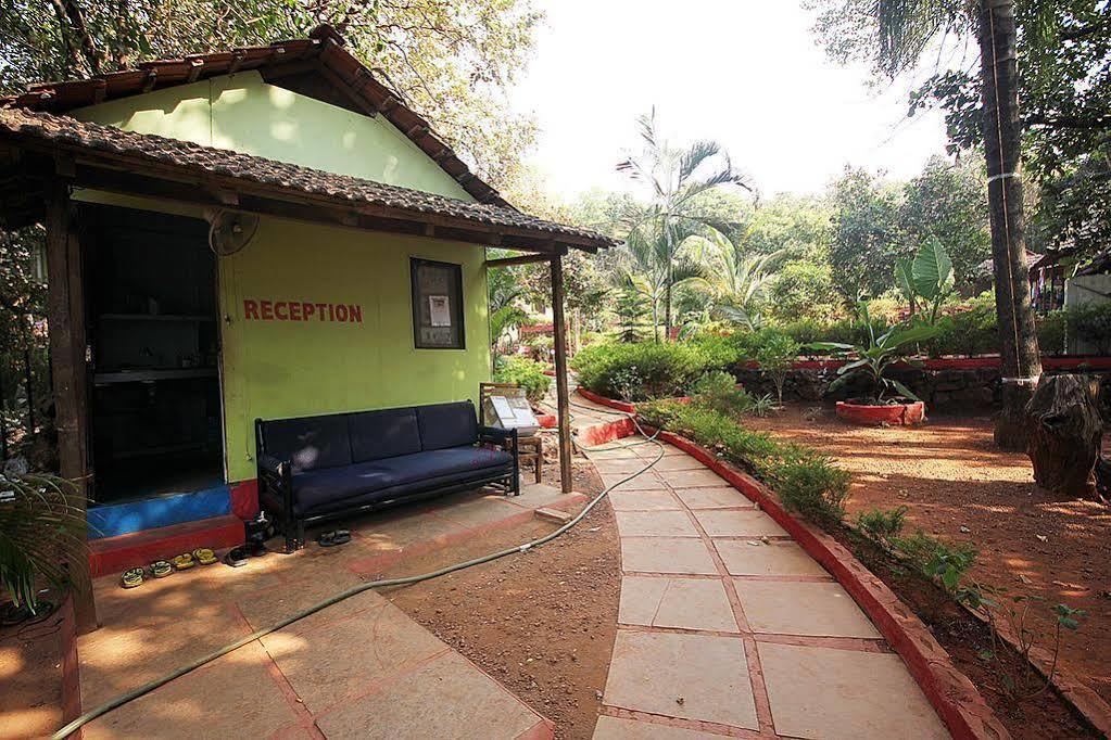 Curlies Zulu Land Hostel Anjuna Luaran gambar