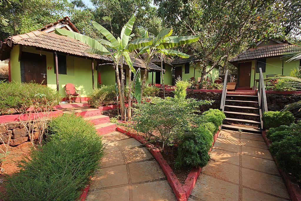 Curlies Zulu Land Hostel Anjuna Luaran gambar